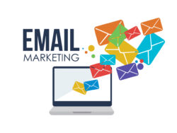 business email lists